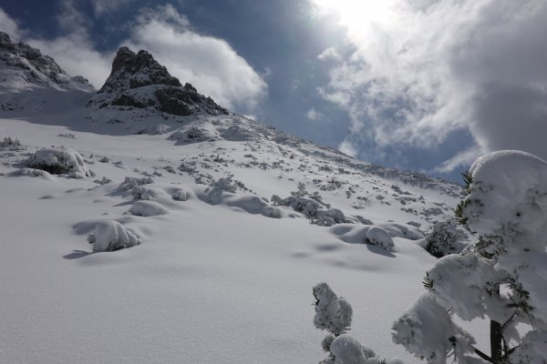 unverspurtes Gelände