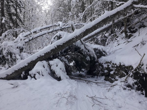 Johann Allgeier: "Unten gings gut durch"
