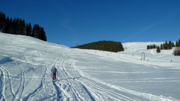 Hans Altmann: "Schigebiet Postalm"
