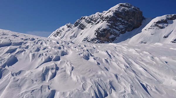 Sepp Auer: "Zastrugis"