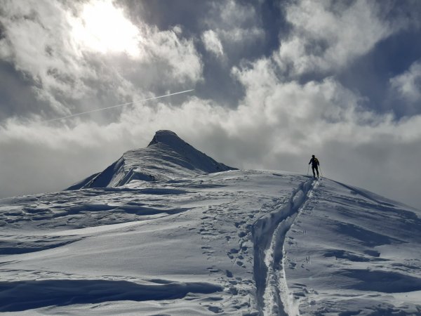 Georg Abler: "Baukogel"