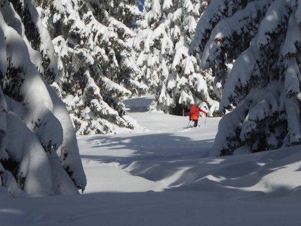 Nani Klappert: "Dürrnbachhorn"
