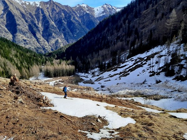 Bernadette Höring: "Im Schlag auf Schneesuche"