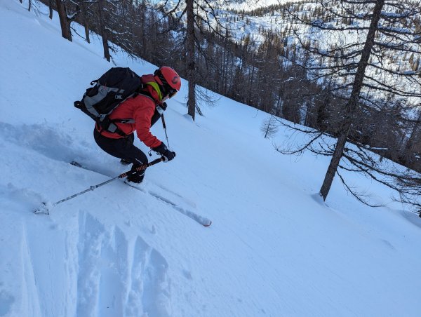 Daniela Kern: "Pulver im Wald"