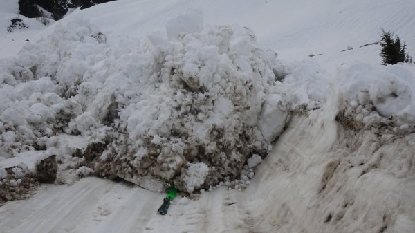 Leonhard Stock: "Gleitschneelawinen"