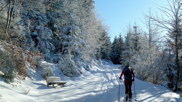 Mit zunehmender Höhe steigt auch die Schneehöhe