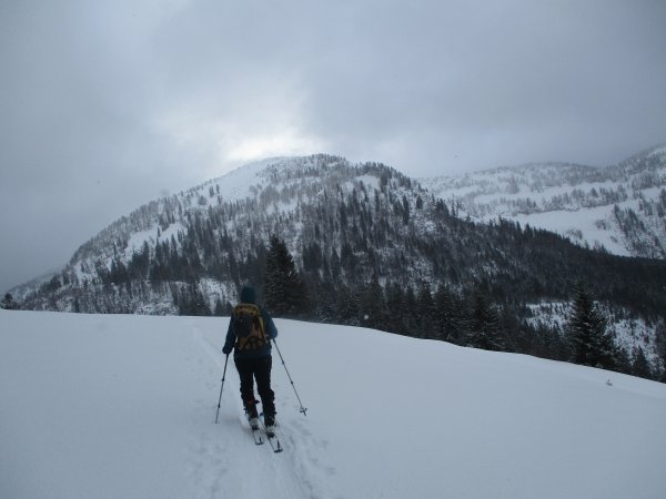 Blick auf den Zinken