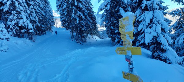 Knappensteig  - Mosottkreuzung