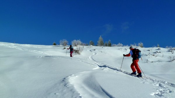 Höhe Spielbergalmen