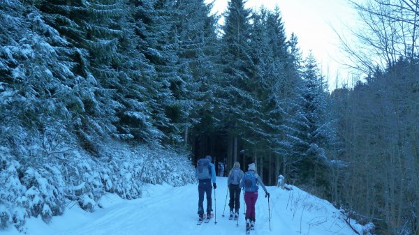 Auf der Forststraße