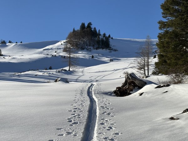 Wiederaufstieg Pilstein