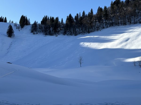 Stubneralm