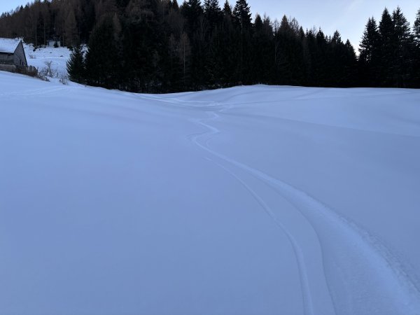 10cm Pulver auf Harsch, letzter Hang