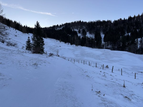 Mehlsackalm abgeblasen, aber in den Rinnen schön zu fahren