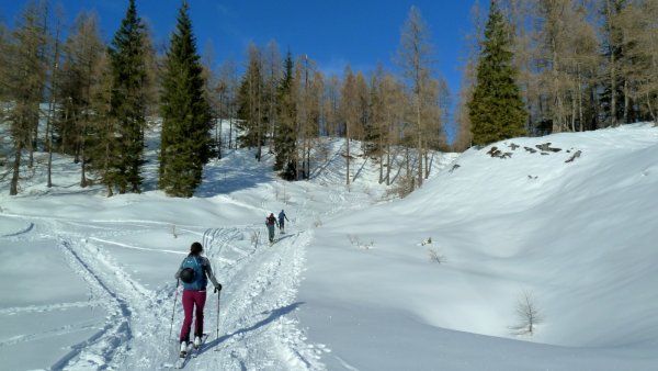 Anstieg zur Pitschenbergalm
