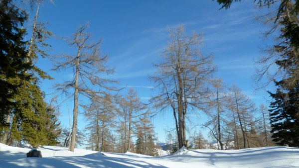 Frühlingshafte Verhältnisse