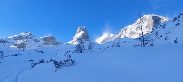 Ochsenriedl