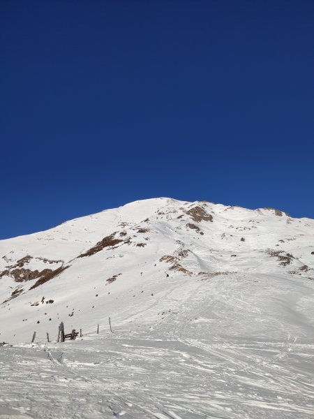 Blick zum Gamskarkogel
