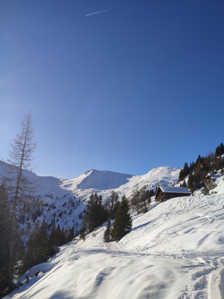 Tofernalm