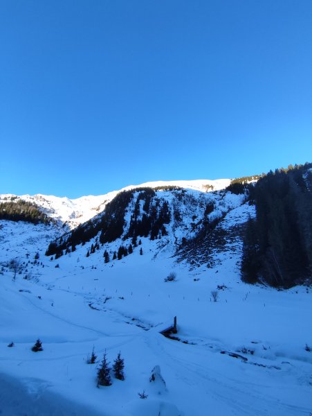 Abzweigung Frauenkogel
