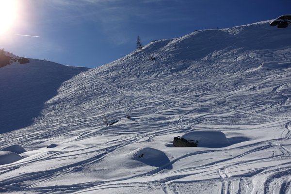 Piste pur