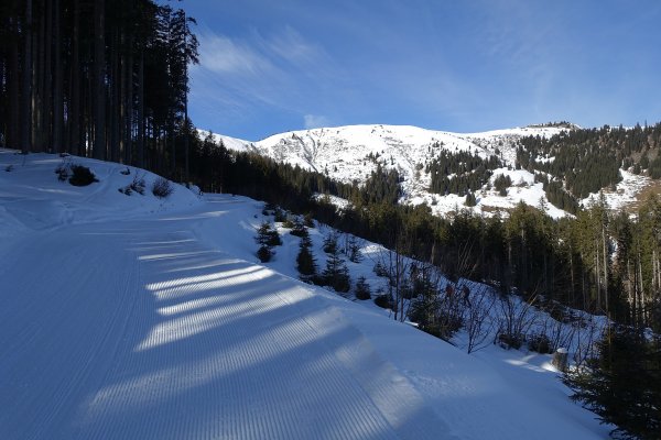 auf der Rodelbahn