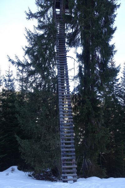 ein echter Hochstand