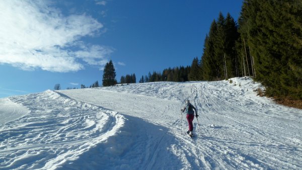 Erfreuliche erste Eindrücke gleich nach dem Parkplatz