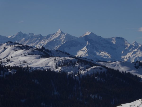 Prächtiger Glockner