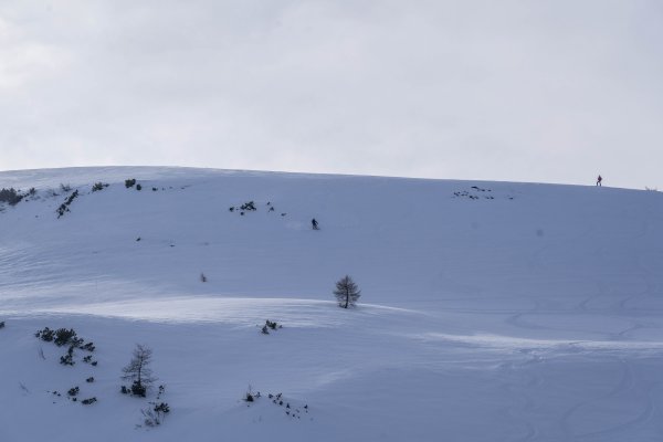Abfahrt ins Goldene Schüsserl