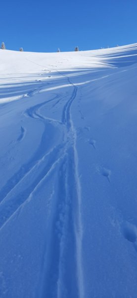 Kurze Abfahrt zum Ennsmannkaser