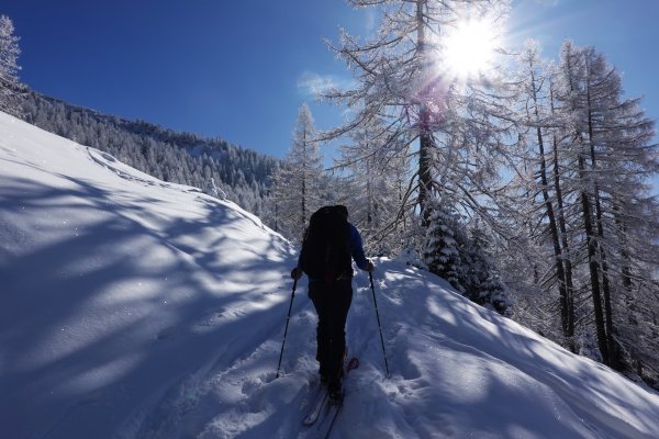 Überraschend einsam