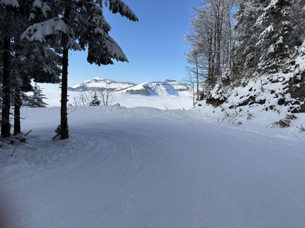 Schlenken und Schmittenstein