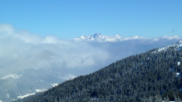 Blick zum Dachsteinmassiv: Torstein, Hoher Dachstein, Koppenkarstein
