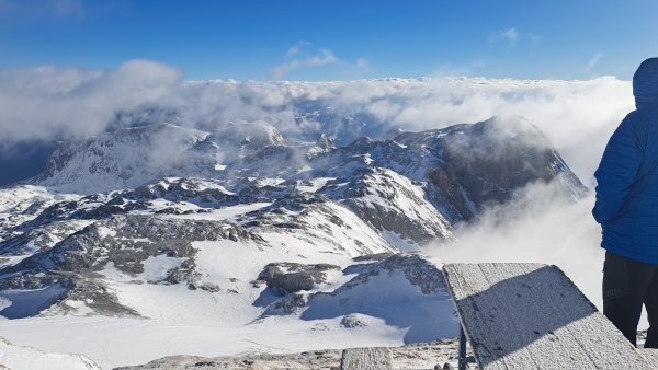 es hat sich gelichtet