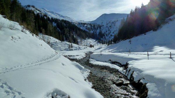 Blick zurück von Höhe Harbachalm