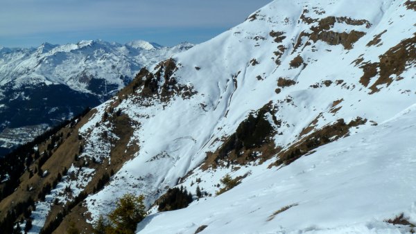Gleitschneemäuler am Gamskarkogel