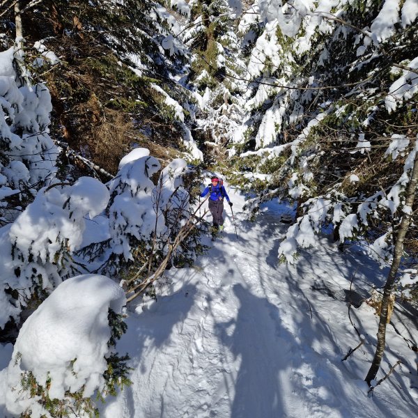 Ausstieg Geißmahdloch