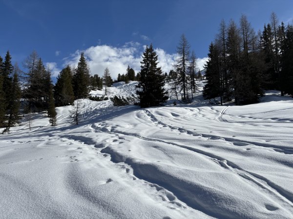 Schwerer Schnee