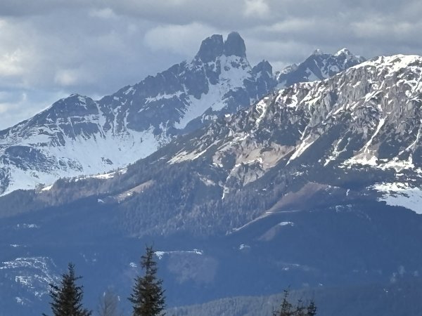 Bischofsmütze