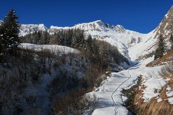 Unterhalb des Schiedergrabens