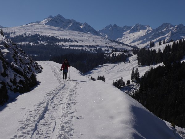 Forststraße gut begehbar