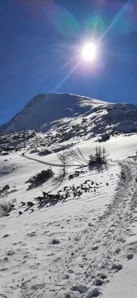 Schneibstein 2.276m