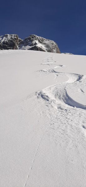 Hohe Rossfelder