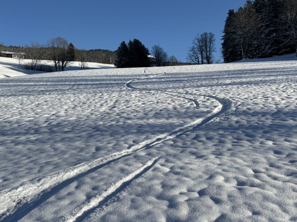 Schaut schöner aus als es war