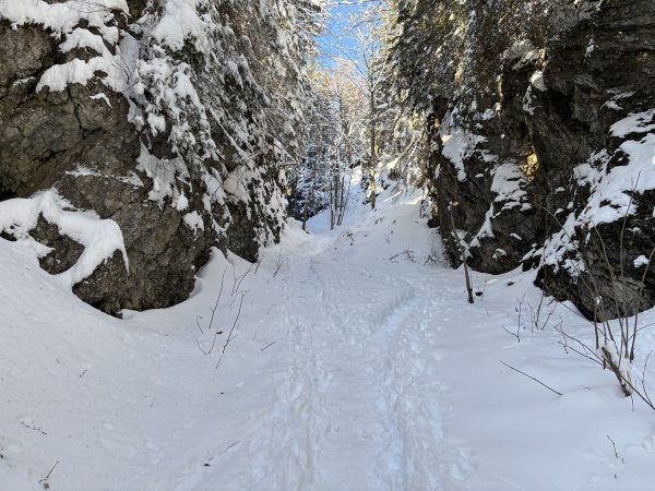 Hier habe ich ein Stück abgeschnallt auf der Trasse