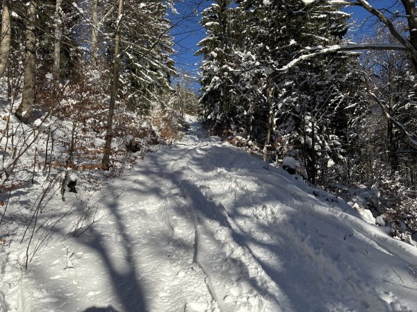 Trasse geht mit etwas Steinkontakt