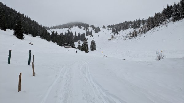 Kurz vor Dürrnbachalm