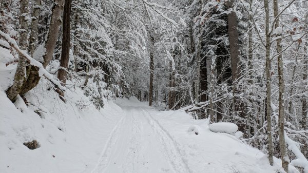 Aufstieg oberhalb vom Bach