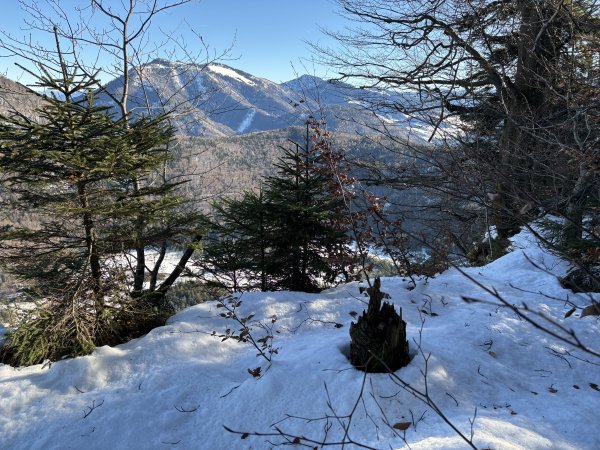 Ochsenberg und vollbiologisches ...